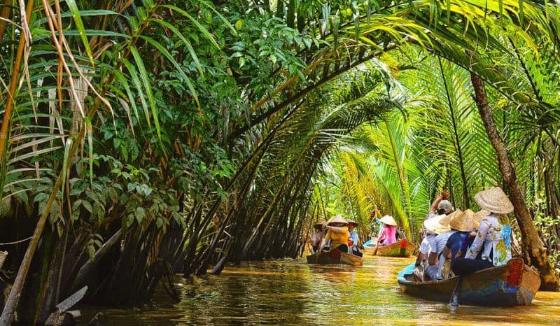 Scoperta del Delta del Mekong: Regno delle Noci di Cocco e Vita Fluviale (Ben Tre)