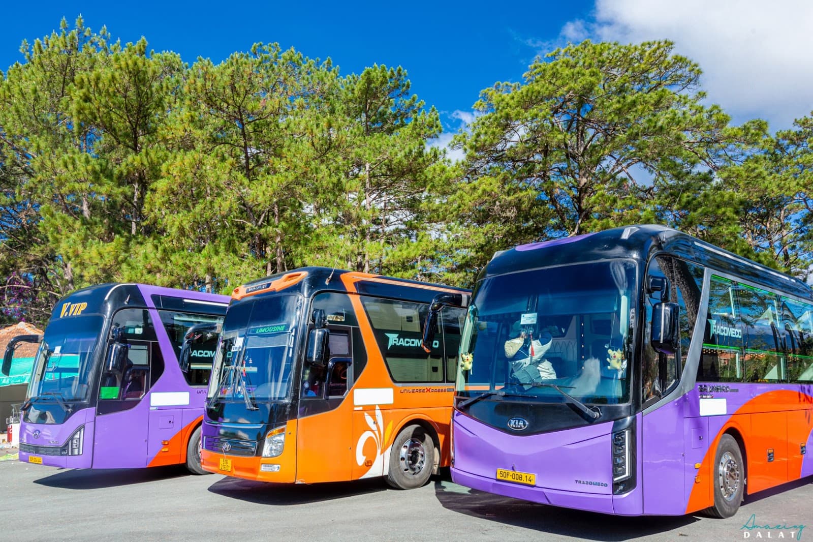 Nguyen Kim Limousine (Saigon - Da Lat)