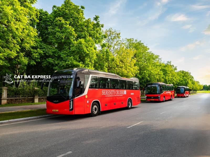 Cat Ba Express Travel (Ханой - Кát Ба)