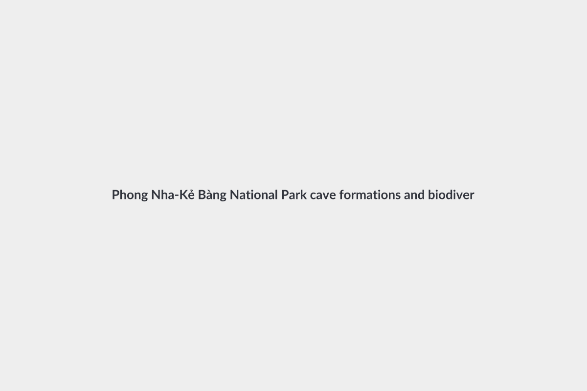 Phong Nha-Kẻ Bàng National Park: A Journey Through Ancient Caves and Biodiversity