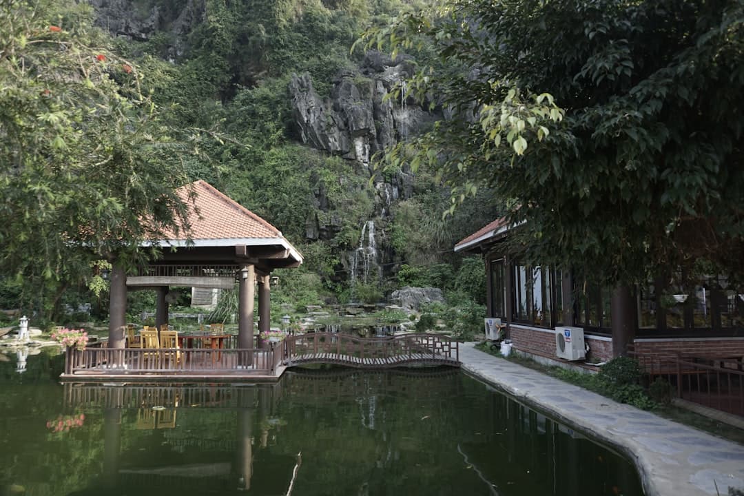 Hot Springs and Mud Baths: The Best Wellness Spots in Central Vietnam