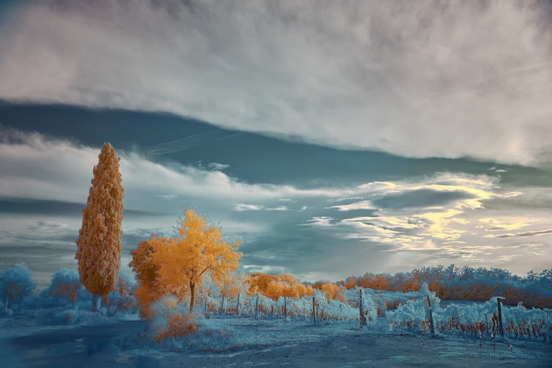 Seasonal Weather Guide: When is the Best Time to Visit Each Region?