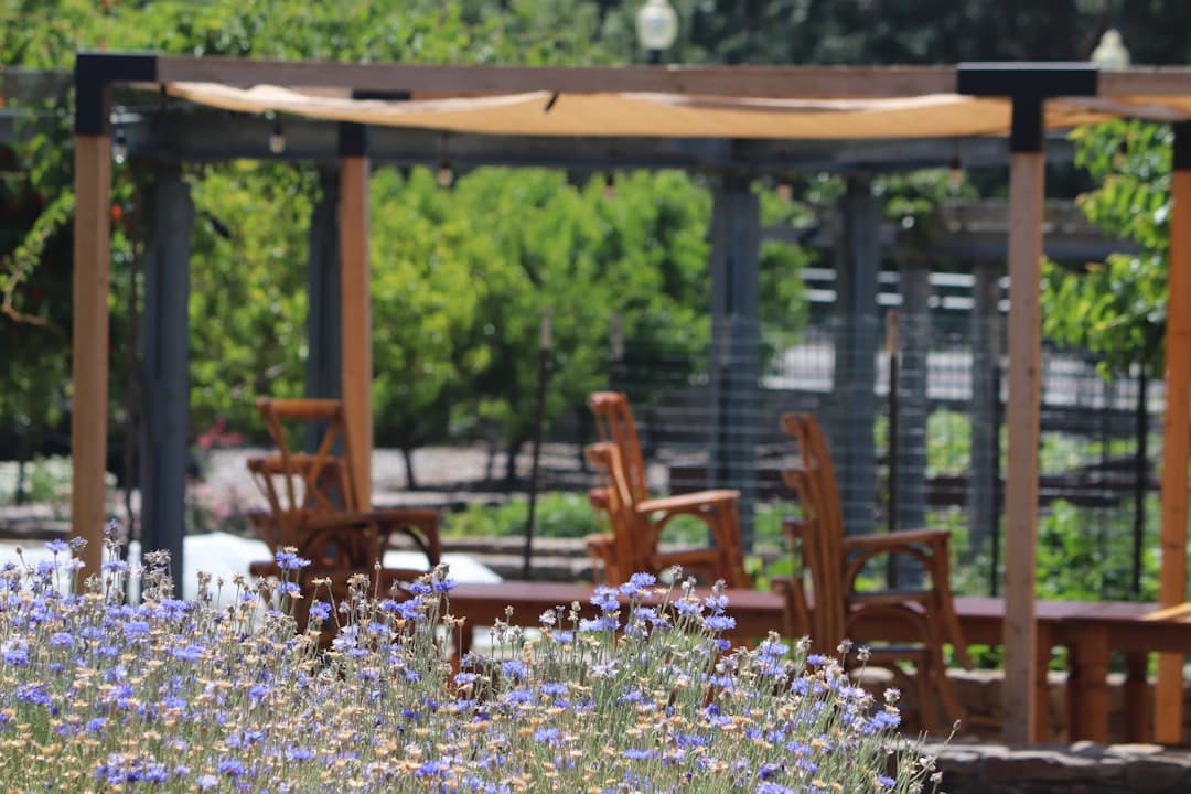 Golf & Gourmet: A Specialized Tour for Luxury Travelers