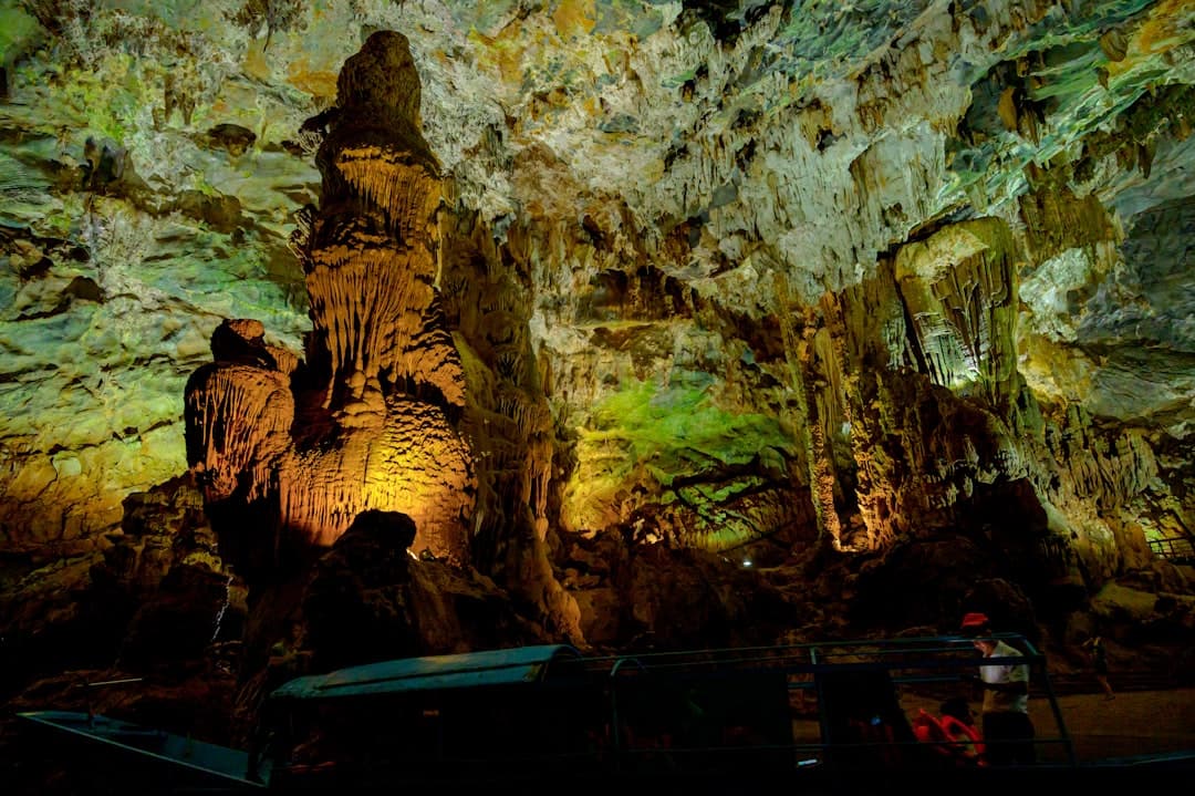Exploring the Cave Ecosystems in Phong Nha-Ke Bang