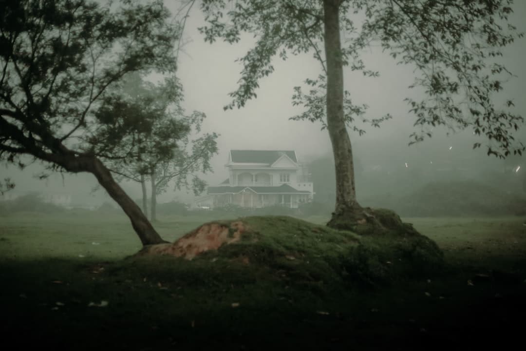 The Best Wellness Retreats and Forest Stays in Yen Tu