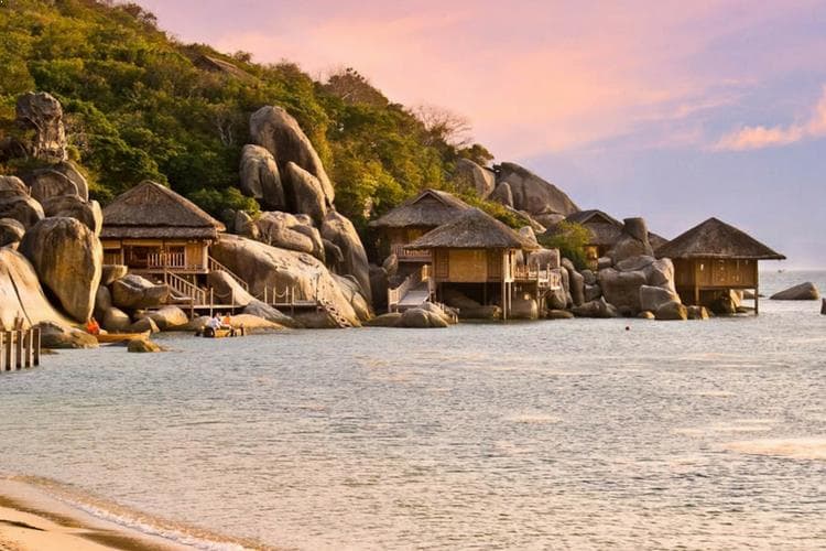 Ninh Van Bay & Nha Trang Island Discovery: A Journey Through Marine Splendor and Culinary Delights - image 3