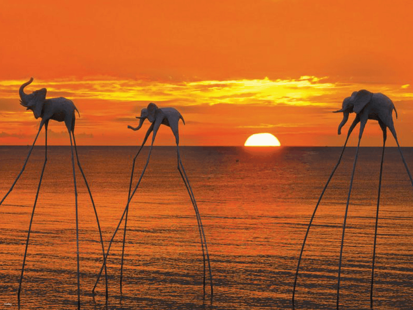 Top 5 Spots for Watching the Sunrise in Vietnam