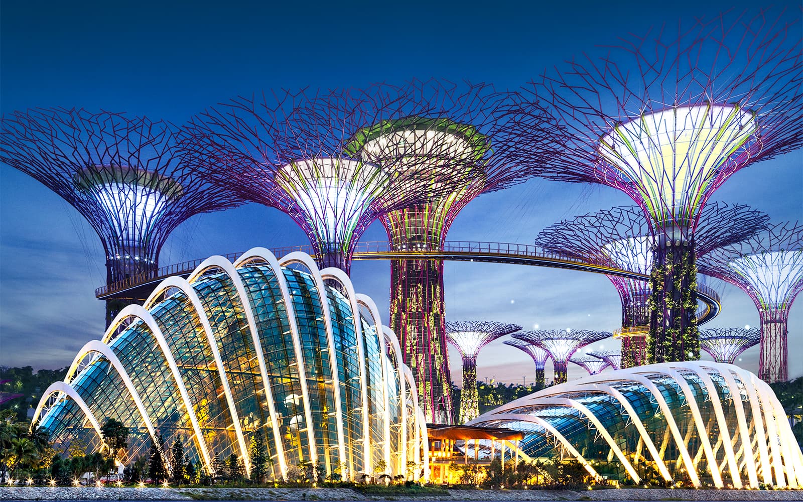 Enchanting Escapes: Gardens by the Bay & Universal Studios Singapore