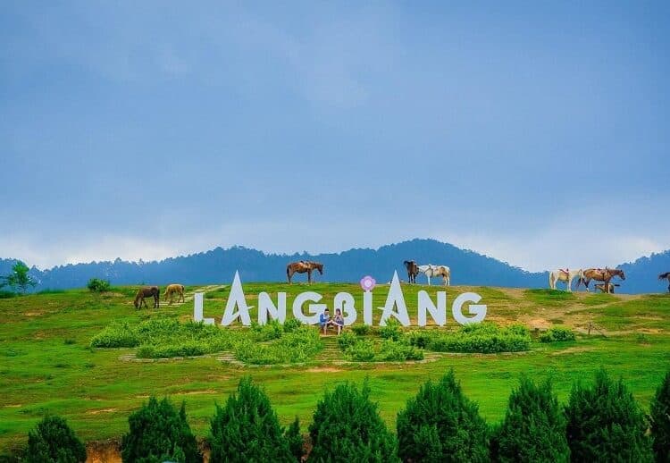 Da Lat's Enchanted Retreat: Gardens, Waterfalls, and Coffee Culture