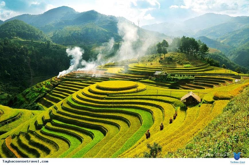 Mai Chau Valley Escape: Cycling through Rice Fields & Thai Ethnic Culture