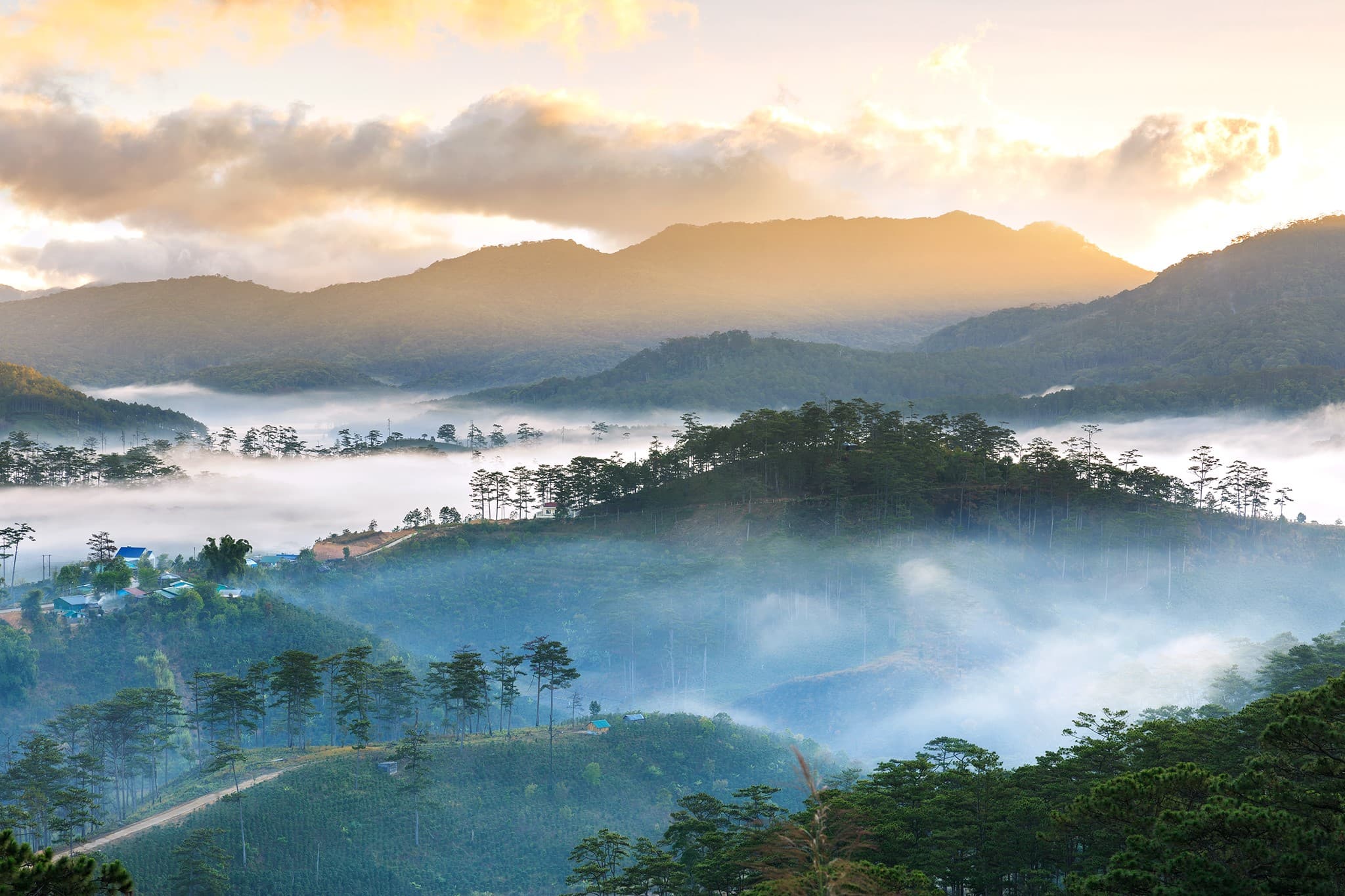 Bidoup Nui Ba National Park Private Trek