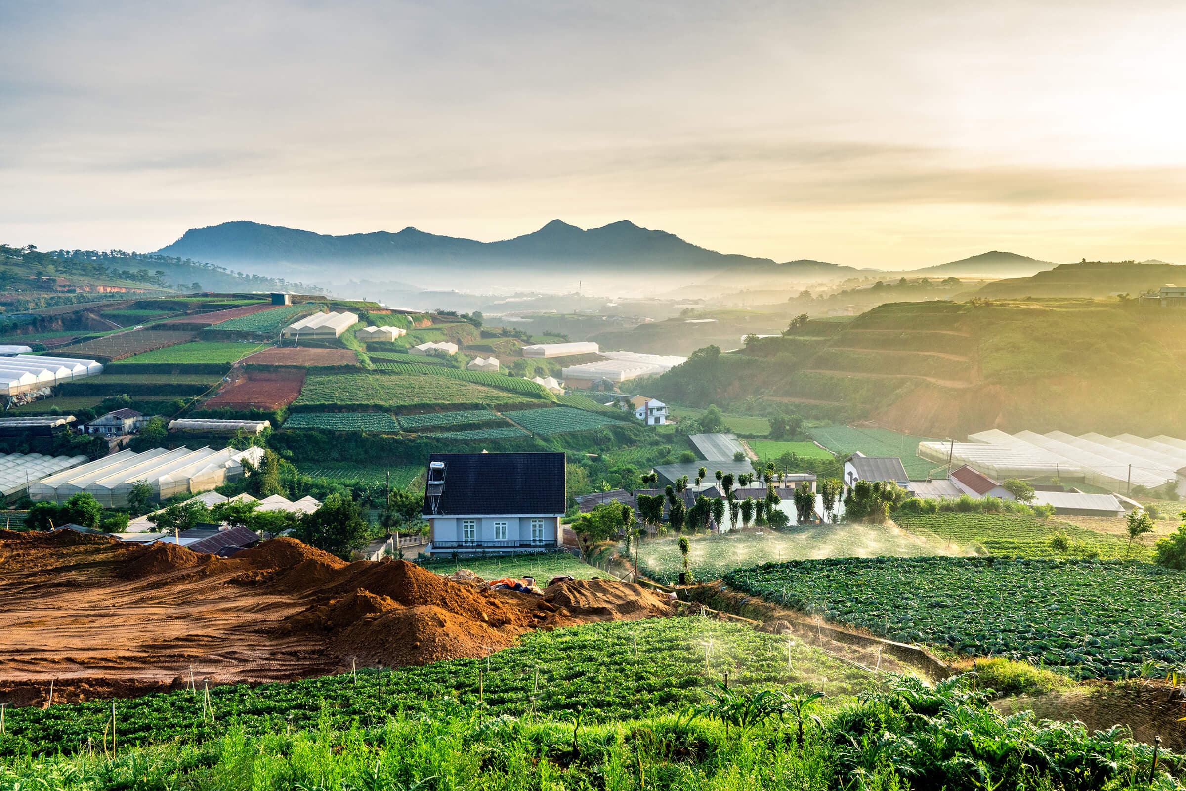 Dalat Coffee Farm Masterclass