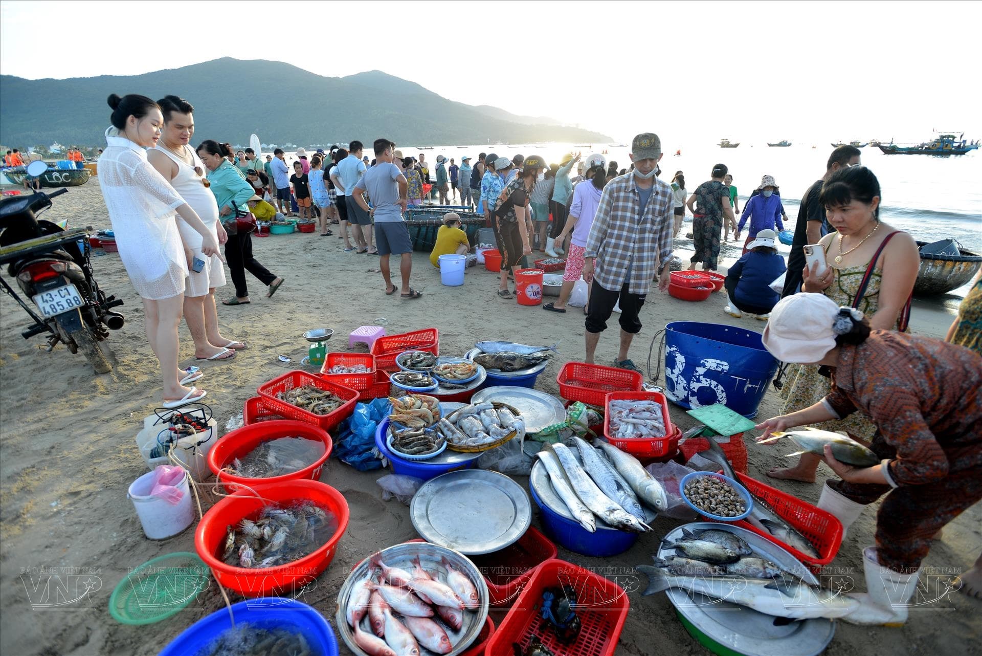 Sunrise Seafood Tasting at Fishing Harbor