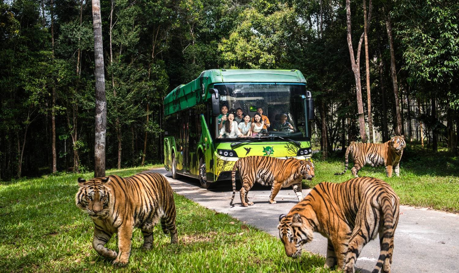 Vinpearl Safari Phu Quoc: สวนสัตว์เปิดและการอนุรักษ์สัตว์ป่า