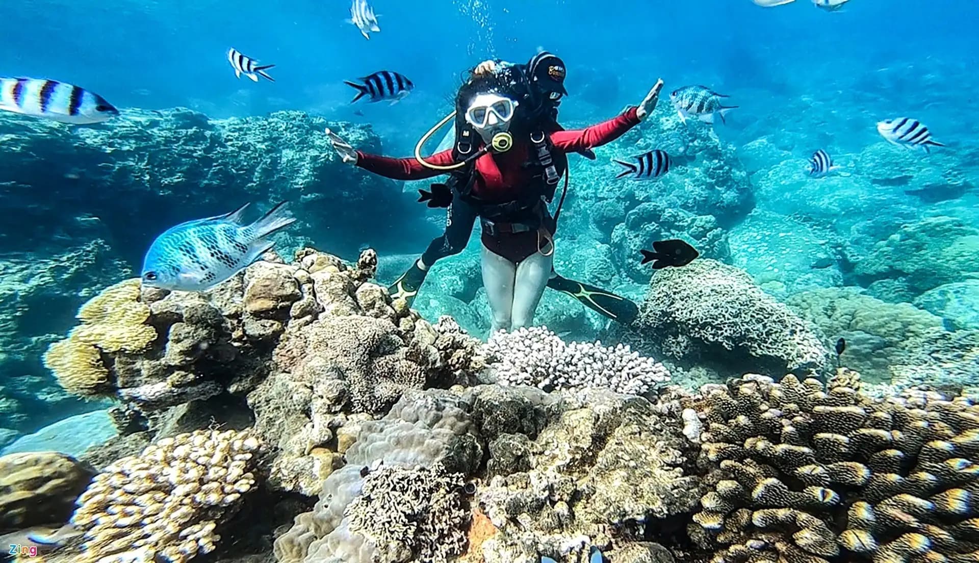 Cham Island Speedboat Experience: The UNESCO Biosphere Adventure