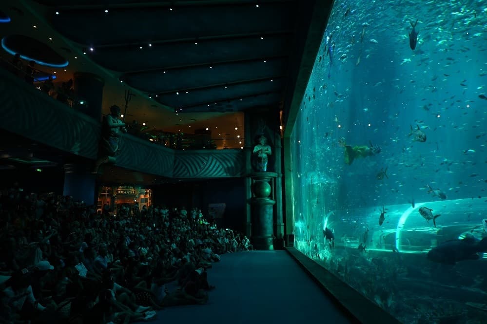 VinWonders All-in-One Ticket: Ultimate Theme Park & Water Park Adventure - image 5