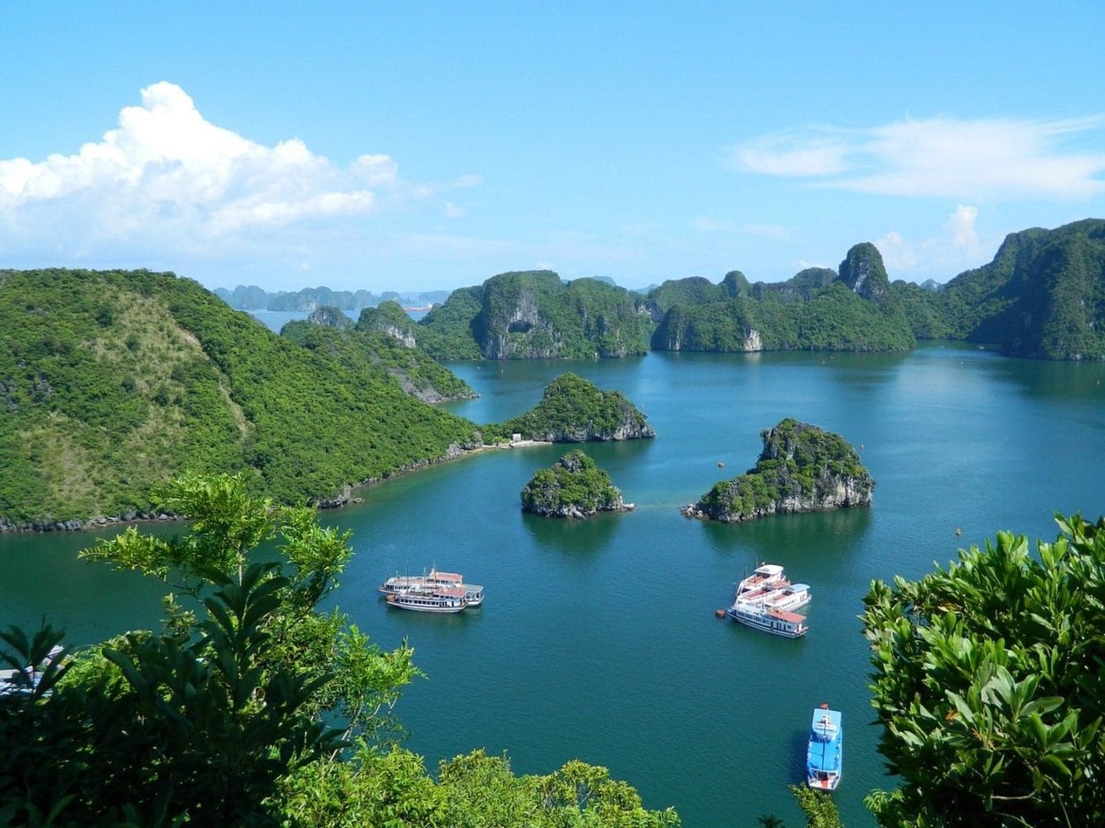 Discover Ti Top Island: The Pearl of Ha Long Bay