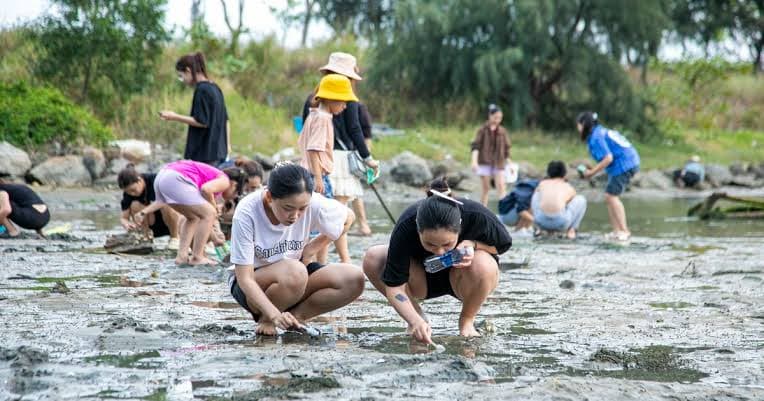 Razor Clam Harvesting Experience on the Sand