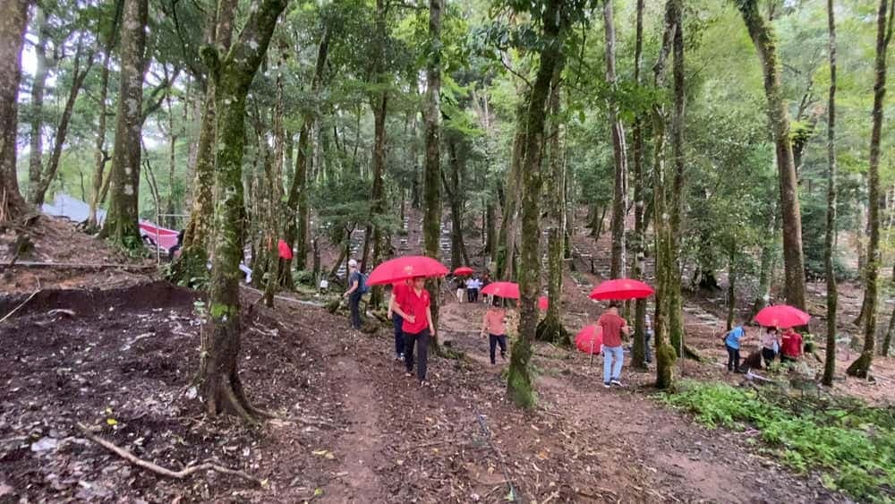 Discovering National Treasure Ngoc Linh Ginseng
