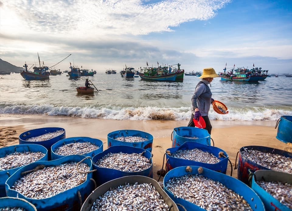 Man Thai Seine Fishing from Sea to Table