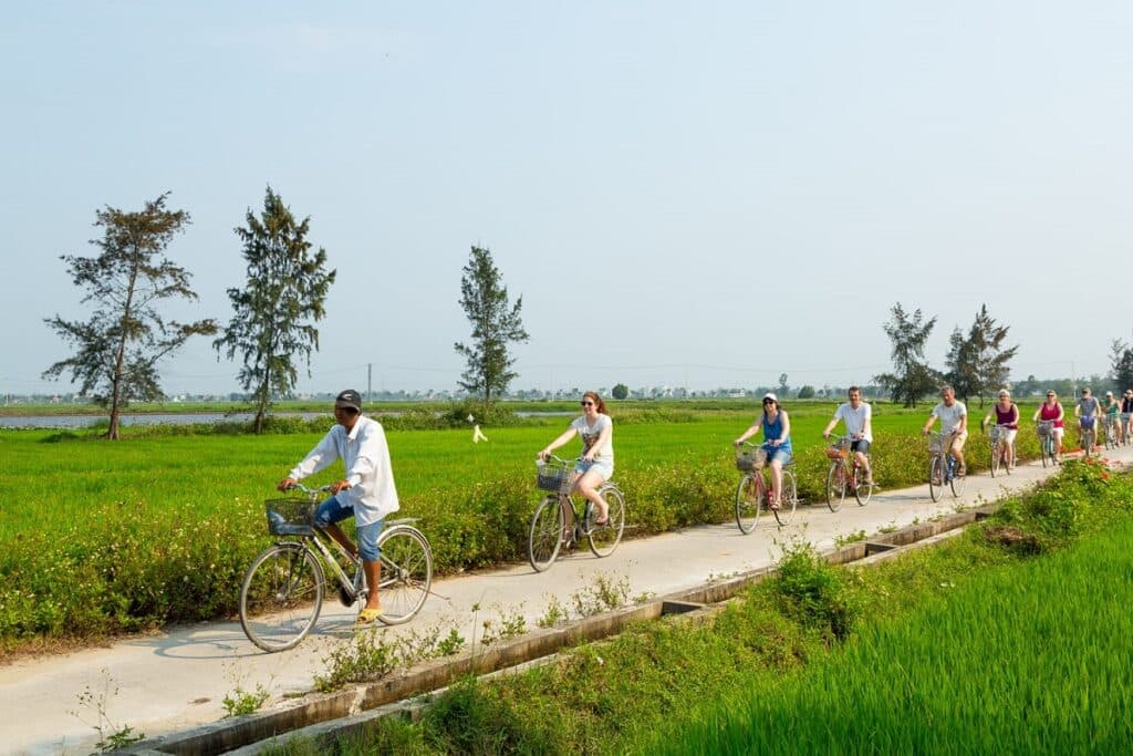 Golden Sunset View Over Hoi An Paddy Fields