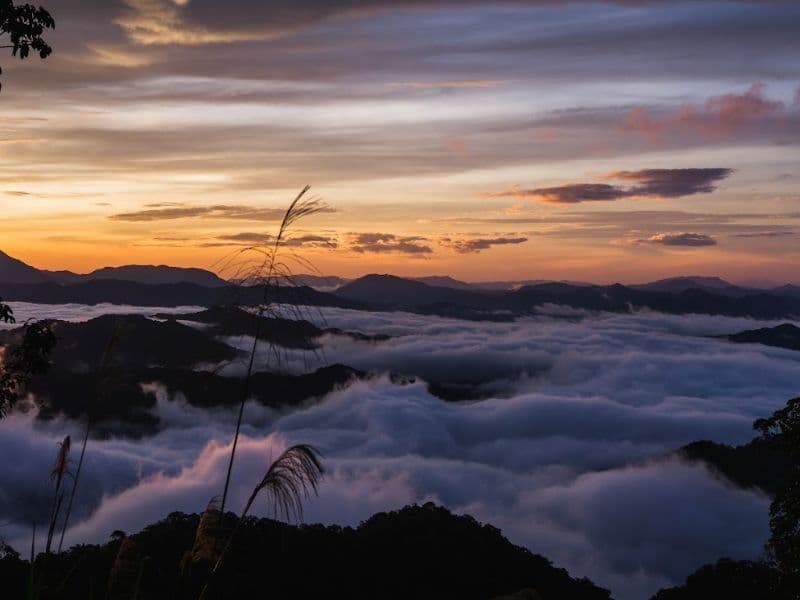 Dawn Break Over Tay Giang Forest Canopy