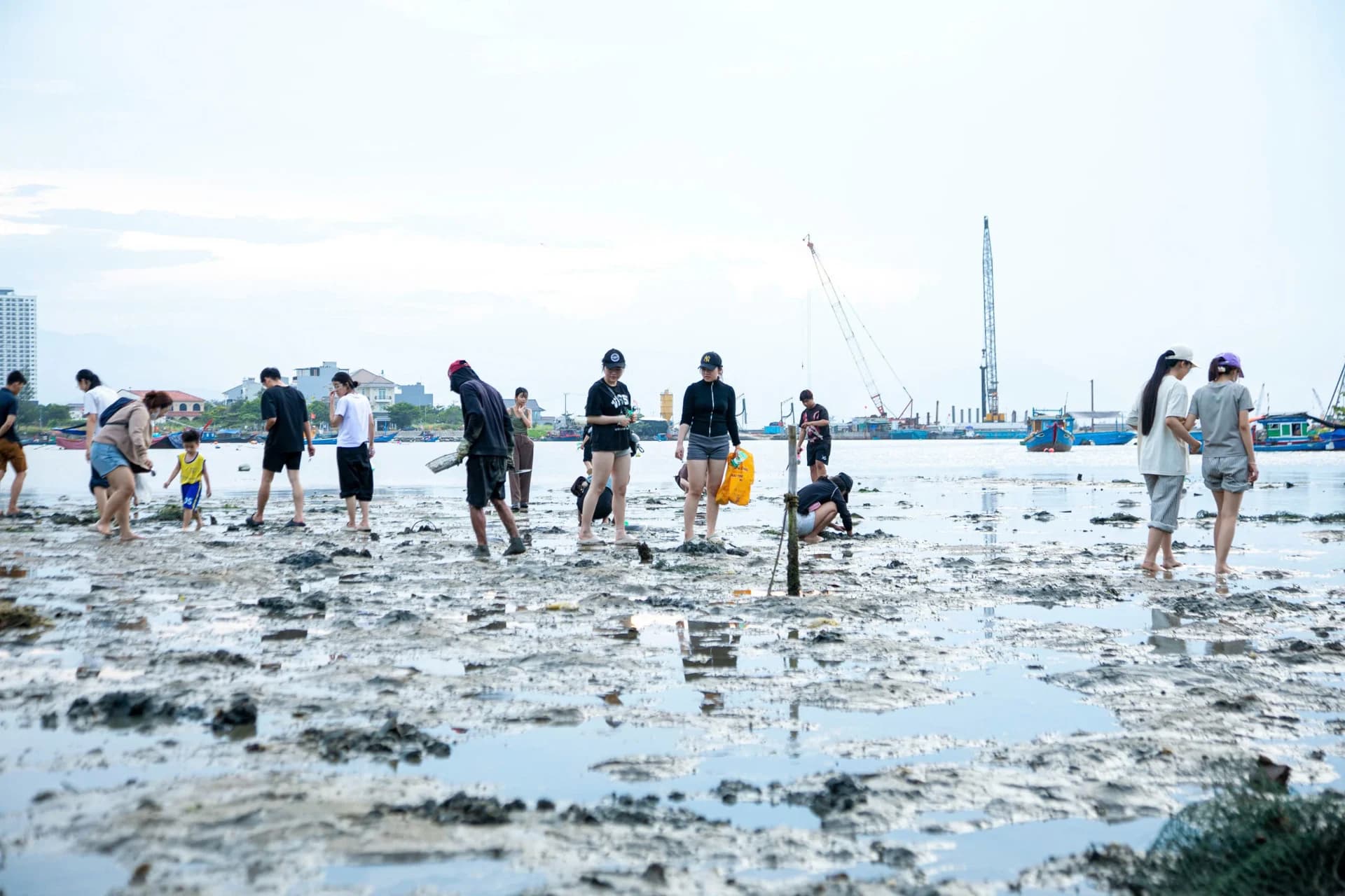 Early Morning Shellfish Harvesting in Da Nang