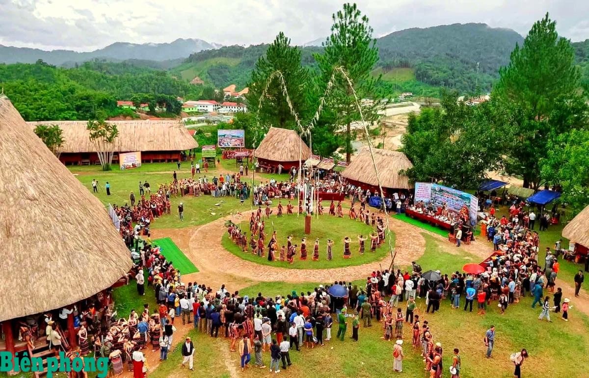 Gong Music Echoes in the Ancient Fujian Pine Forest