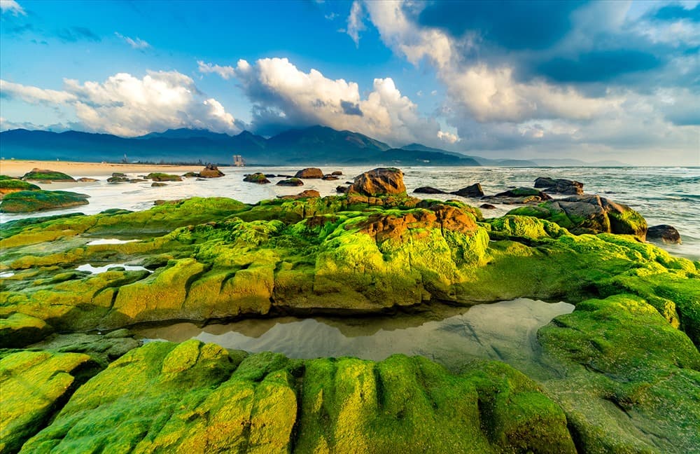 Chasing Green Moss Season at Nam O Reef